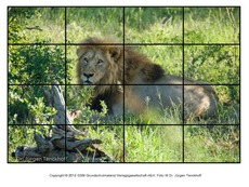 Puzzle-Löwe-1.pdf